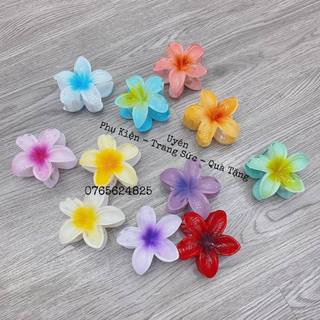 Kẹp tóc hoa sứ Hot trend mùa hè đi biển