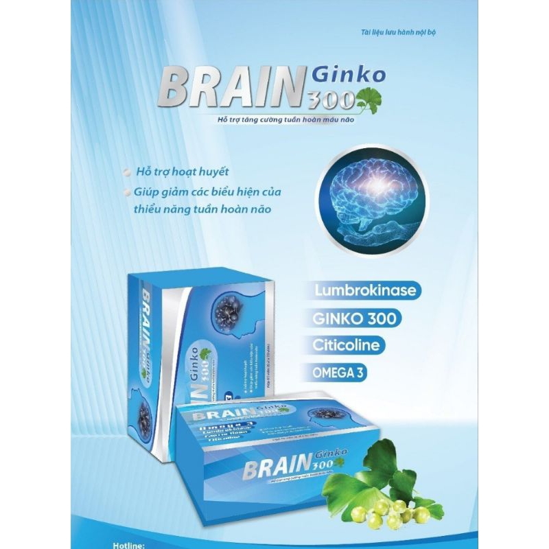 BRAIN GINKO 300 hỗ trợ tăng cường tuần hoàn máu não
