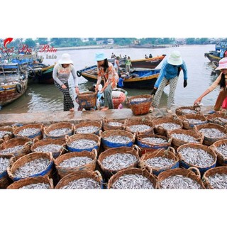 1 can 5LÍT Nước Mắm Cốt Cá Cơm Nguyên Chất