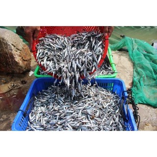 1 can 5LÍT Nước Mắm Cốt Cá Cơm Nguyên Chất