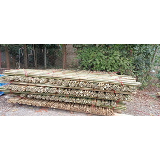 Combo 3 cây trúc 1.8m và 10 cây 1m