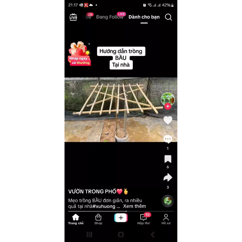 Combo 3 cây trúc 1.8m và 10 cây 1m
