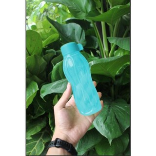Bình nước Eco Bottle 310ml Tupperware không dây chính hãng