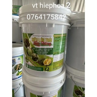 Xô siêu lớn trái sầu riêng 6-3-9