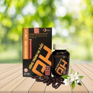 Combo XHPV thổi bay sùi mào gà, gai sinh dục, hạt ngọc + Viên nang đông trùng hạ thảo CAO NHUNG HƯƠU - LINH CHI
