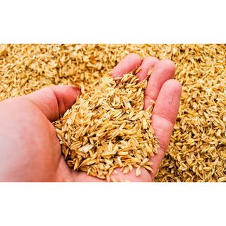 Trấu khô - vỏ trấu - giá thể combo 2kg