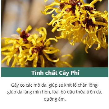 Serum Tế Bào Gốc PEPTIDE - Tinh Chất PEPTIDE Dưỡng Trắng Da, Trẻ Hóa Da, Lắp Đầy Vết Sẹo Rỗ Da Mịn Màng