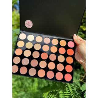 Bảng Mắt Morphe 350 Tone Cam Nâu