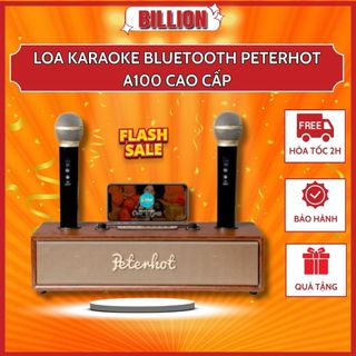 Loa Karaoke Bluetooth PETERHOT A100 cao cấp kèm 2 micro, công suất 20W bass trầm, thiết kế vỏ gỗ sang trọng