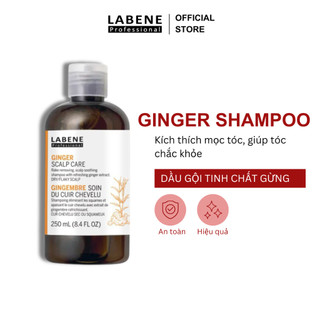 Dầu gội dưỡng sinh tinh chất gừng tươi Ginger Scalp Care LABENE làm sạch da đầu thư giãn chống rụng tóc & kích mọc tóc.