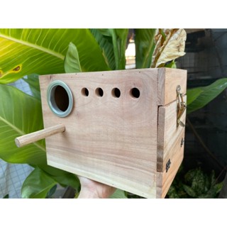 Tổ gỗ có hộc dành cho vẹt nhỏ như lovebird, yến phụng có viền chống cắn phá