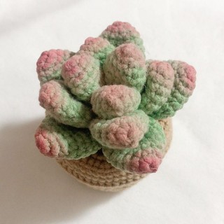 Chậu sen đá bằng len 💗