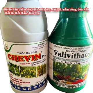 Bộ đôi phòng trừ bệnh thán thư cháy lá nấm hồng đốm đen khô vằn thối thân, thối lá Chavin + Valydamycin