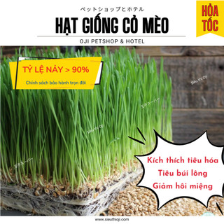 Hạt Giống Cỏ Mèo Hạt Giống Cỏ Lúa Mạch Cho Mèo 50-100g