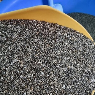 Hạt chia Úc 1kg
