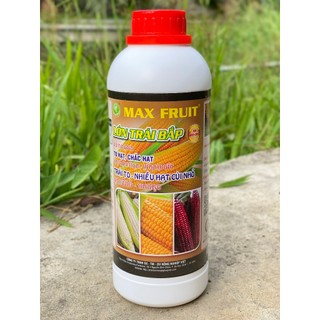 Phân bón cho bắp lớn trái max fruit chai 1 lít - trái to, nhiều hạt, cùi nhỏ