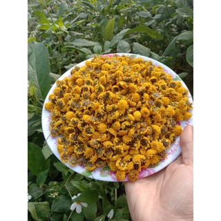 Trà hoa cúc chi sấy lạnh (cúc tiến vua)
