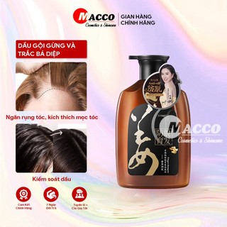  Dầu Gội Gừng Trắc Bá Diệp  500ml  Giảm Dầu Ngứa Ngăn Rụng Tóc Tăng Mọc Tóc 