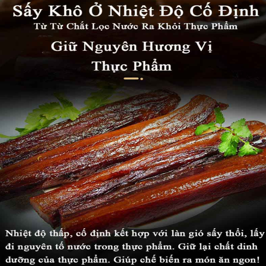 Máy sấy thực phẩm chuyên nghiệp ST-06 dung tích 45 lít, 12 khay, Thương hiệu Septree Mỹ, 800W - Bảo Hành 12 Tháng