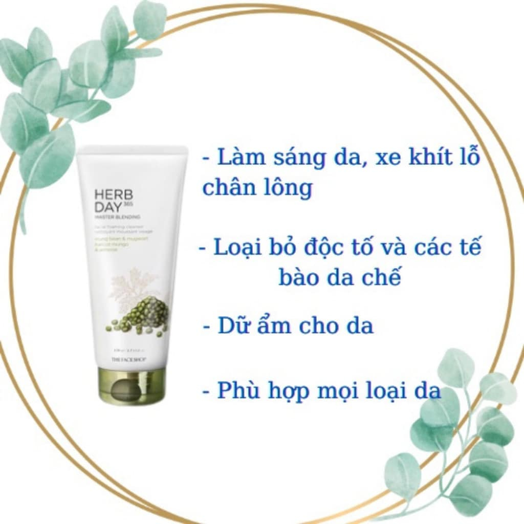 Sữa Rửa Mặt Tạo Bọt Herb Day 365 Master Blending Foaming Cleanser The Face Shop 170ml
