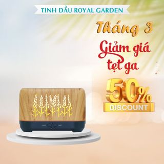 Máy xông tinh dầu ngọn lửa bền đẹp ,Tặng Tinh dầu