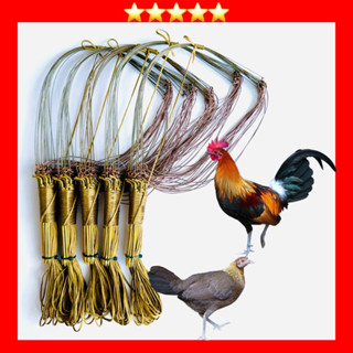 Giò Bẫy Gà Rừng Chân Đồng Khoan 3 Lỗ Cáp Se 4 Sử Lí Nhiệt Khoen Đồng Đúc Bộ 20 Chân ( Giò Đón)