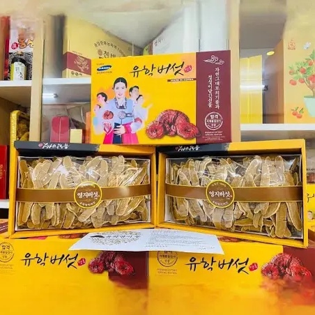 Nấm Linh Chi Hàn Quốc Thái Lát Cô Gái Hộp 1Kg, Thải Độc Gan, Chống Lão Hoá, Tăng Cường Hệ Miễn Dịch Cơ Thể