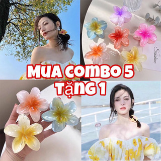 Kẹp tóc hình hoa Bauhinia màu kẹp thời trang Kẹp tóc đi biển, kẹp tóc hoa sứ cặp tóc hoa sứ hottrend