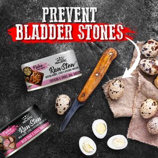 Pate Absolute Holistic Raw Stew cho chó mèo 80g