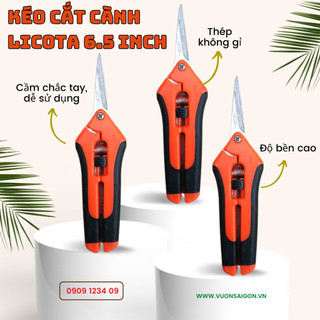Kéo cành nhọn LICOTA 6.5 inch Đài Loan bền bỉ, lưỡi nhọn sắc bén, màu ngẫu nhiên - Vườn Sài Gòn