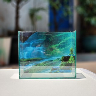 Bể Cá mini Hồ Show cá Betta & Guppy dán giấu keo, dán đế, mài cạnh siêu đẹp