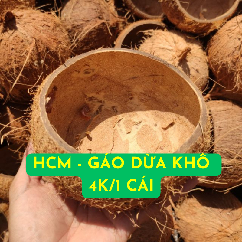 [5Tặng1] Gáo dừa khô trồng cây, gáo dừa trồng lan. Gáo dừa đốt than, Gáo dừa cho gà ăn thô nhỏ xinh