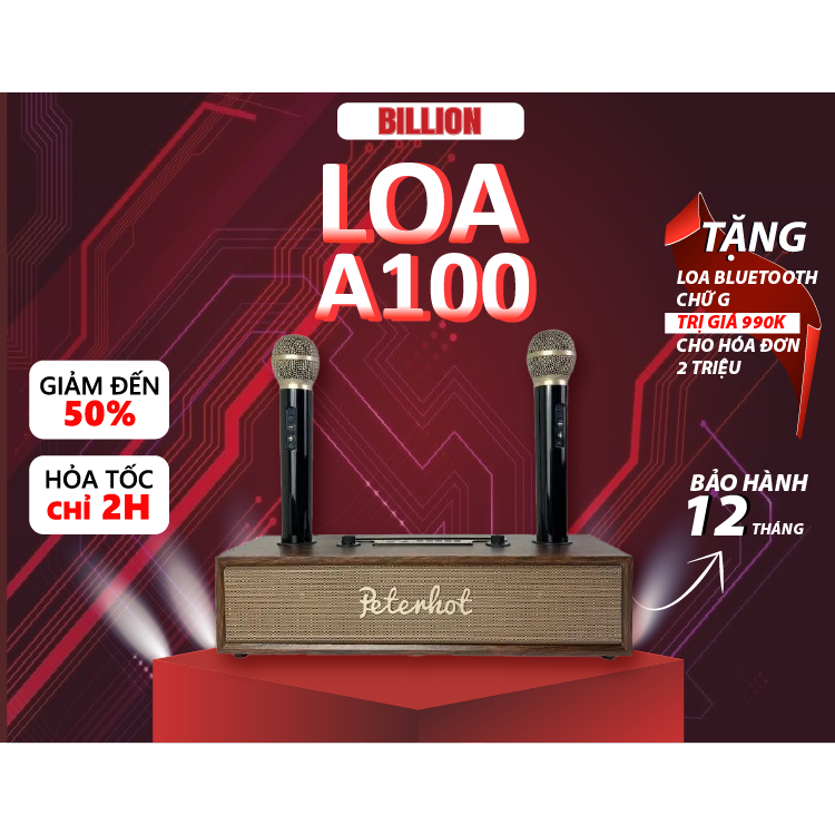 Loa Karaoke Bluetooth PETERHOT A100 cao cấp kèm 2 micro, công suất 20W bass trầm, thiết kế vỏ gỗ sang trọng BILLION TECH