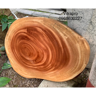 Khoanh gỗ xà cừ, thớt gỗ xà cừ lớn 49x36cm
