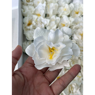 Hoa sáp thủy tiên(  bán từ 5  đầu bông)