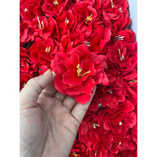 Hoa sáp thủy tiên(  bán từ 5  đầu bông)