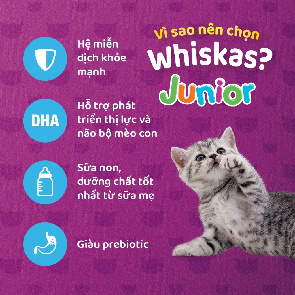Thức Ăn Hạt Cho Mèo Con Whiskas Kitten - Gói 450gr