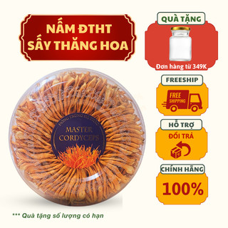 Nấm đông trùng hạ thảo - loại 1 - công nghệ sấy thăng hoa