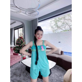 Đồ Bộ Thun Lạnh nhiều màu Xinh(2.3.4)