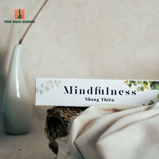 Bồ Kết xông nhà dạng thanh Phổ Nghi Hương (Thanh hương) - Hương thơm có tính thanh tẩy cao, kiến tạo không gian tươi mới