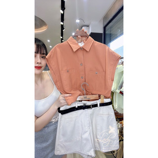 Áo sơ mi tay hến basic -LADY.Clothing