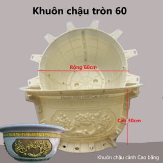 Khuôn đúc chậu cảnh tròn 60 Mai Hóa Rồng- Hàng Việt Nam