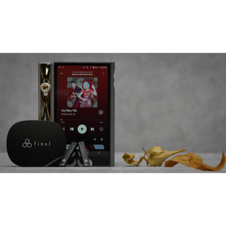 Tai nghe true wireless final audio ze8000 mk ii