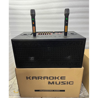 Loa kéo vác vai 2 bass 25 cao cấp