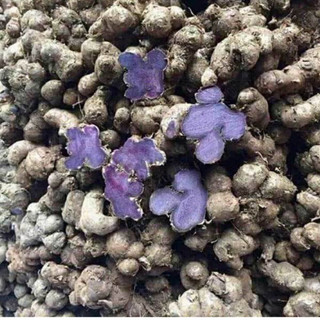 Củ Gừng Đen (Ngả.i đen) khô sắt lát (hàng mới, thơm, không chất bảo quản)