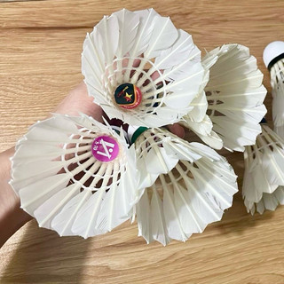 [Cầu Cũ HÀNG CHỌN LỌC 90%] 1 Quả Cầu Lông Cũ, Cầu Cũ Tập Luyện, Thi Đấu, Cầu Đánh Công Viên, Ngoài Trời