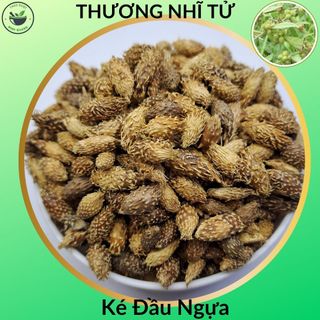 Thương nhĩ tử , túi 100g, trái bỏ gai sấy khô