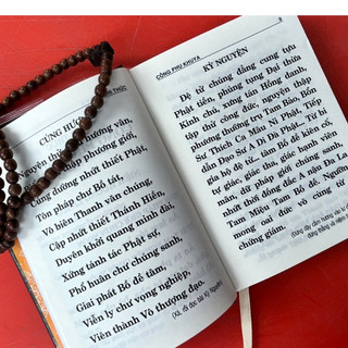 Sách - Kinh Nhật Tụng (Thích Minh Thời - Bìa Cứng Tặng Kèm Bao Sách,Thành Book-TOIN)