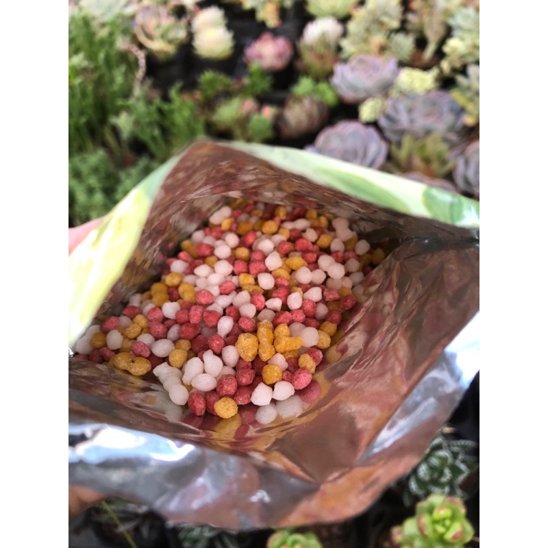 Phân tan chậm cho sen đá 100g