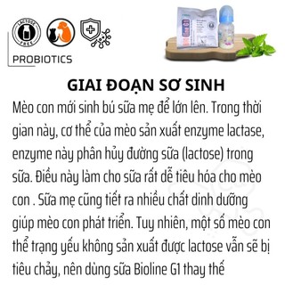 Sữa Bột Cho Mèo Mọi Lứa Tuổi Bio milk - chọn loạ